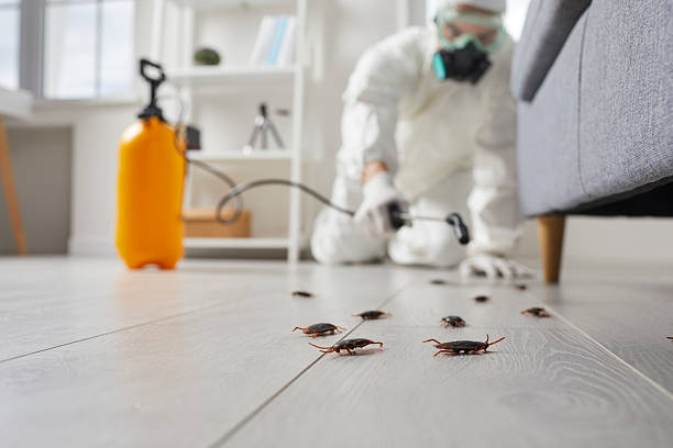Commercial Kitchen Cockroach Control in Wyoming